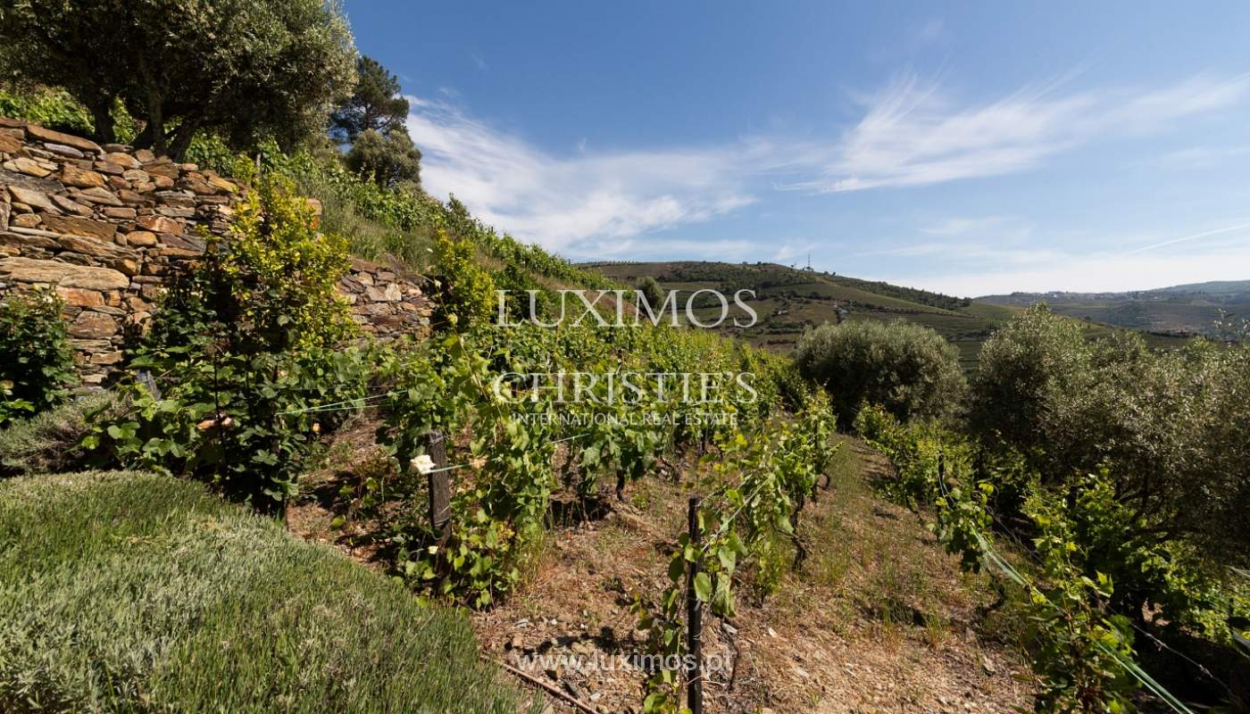 Venda de casa de campo em quinta vinícola, com vistas rio, Douro Valley_171528