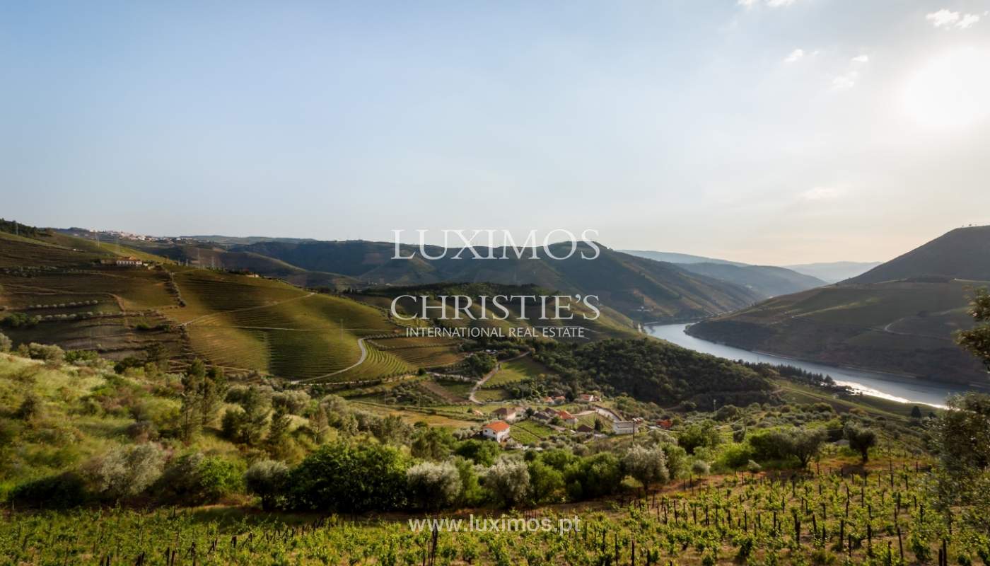 Venda de casa de campo em quinta vinícola, com vistas rio, Douro Valley_171534