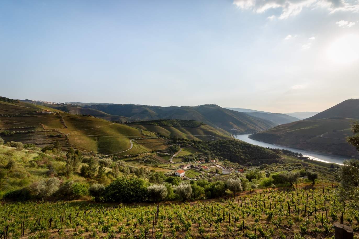 Verkauf Landhaus im Weinbauernhof, mit Blick auf den Fluss, Douro, Portugal_171534