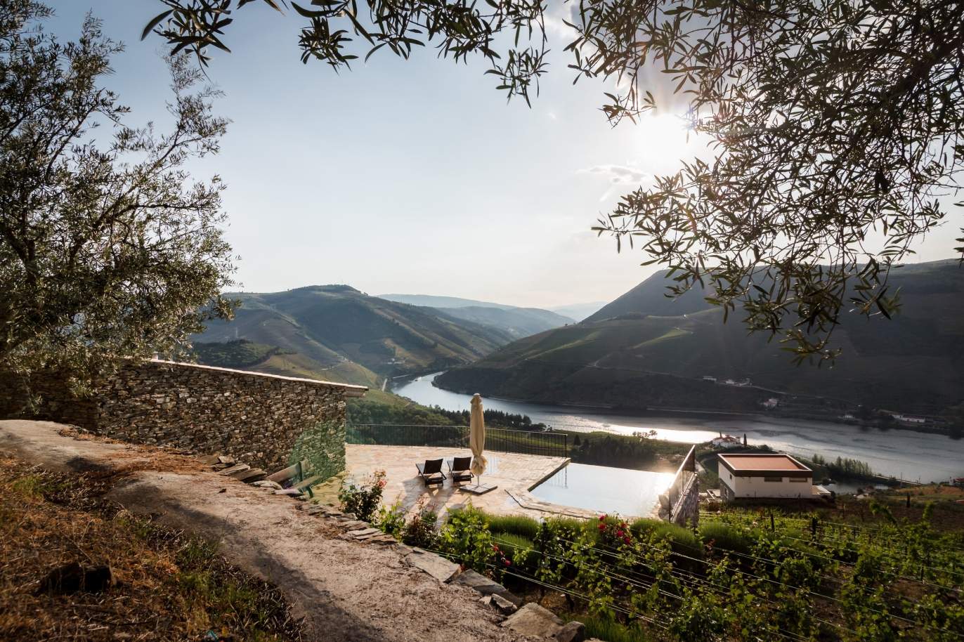 Sale country house in vineyard w/ river views, Douro Valley, Portugal_171535
