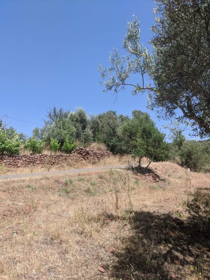 Großes Grundstück, in der Nähe des Fonte Benémola Parks, Loulé, Algarve_172585