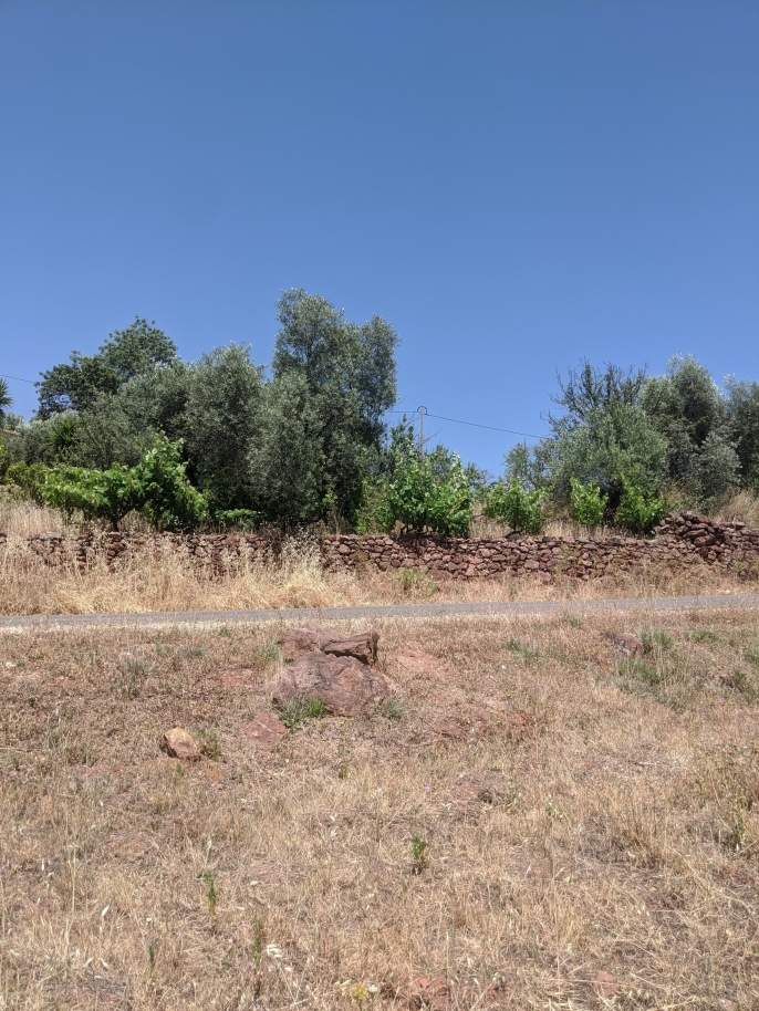 Großes Grundstück, in der Nähe des Fonte Benémola Parks, Loulé, Algarve_172590