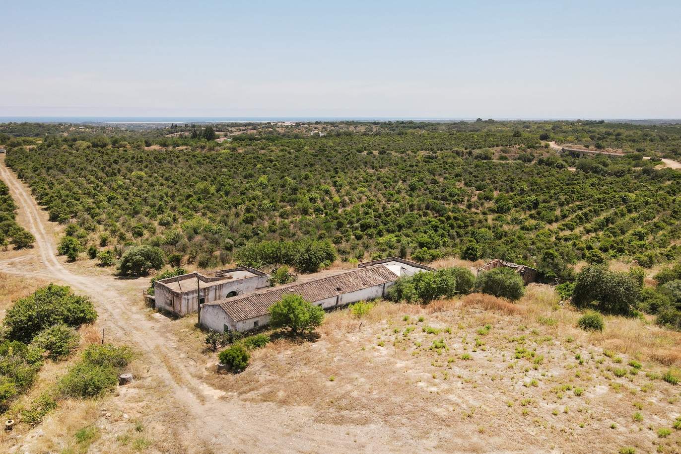 Bauernhof mit Ruinen und Obstgarten, Tavira, Algarve_172740