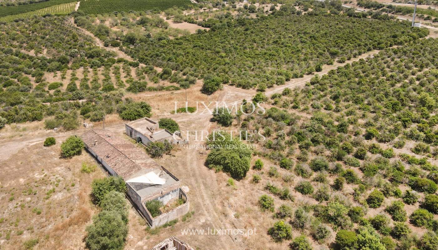 Farm with ruins and orchard, Tavira, Algarve_2423