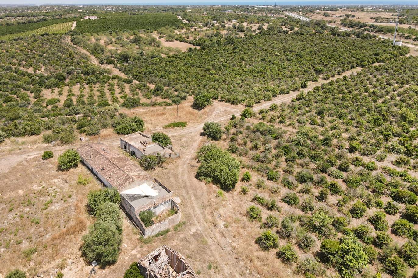 Bauernhof mit Ruinen und Obstgarten, Tavira, Algarve_172741