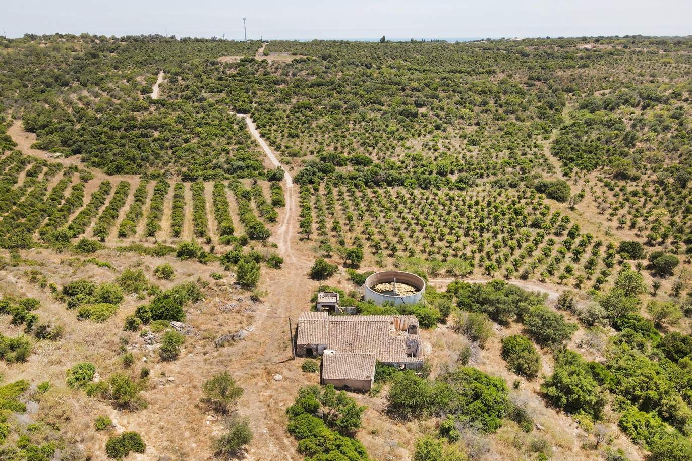 Bauernhof mit Ruinen und Obstgarten, Tavira, Algarve_172742