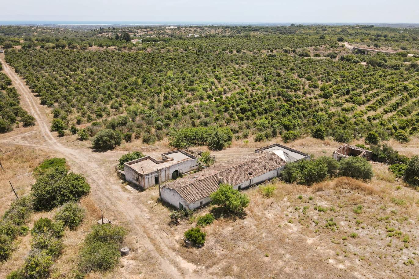 Bauernhof mit Ruinen und Obstgarten, Tavira, Algarve_172743