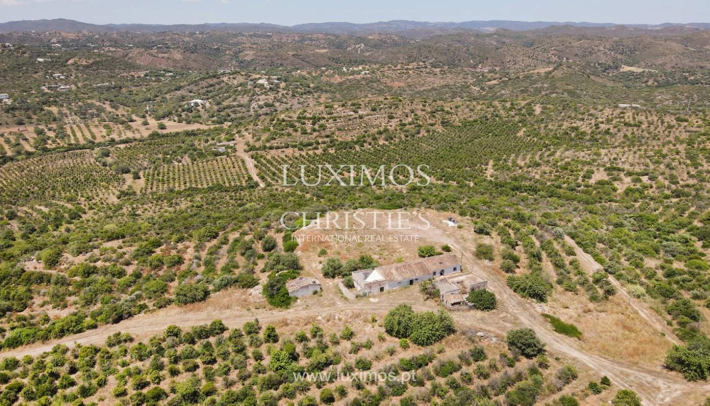 Farm with ruins and orchard, Tavira, Algarve_2561