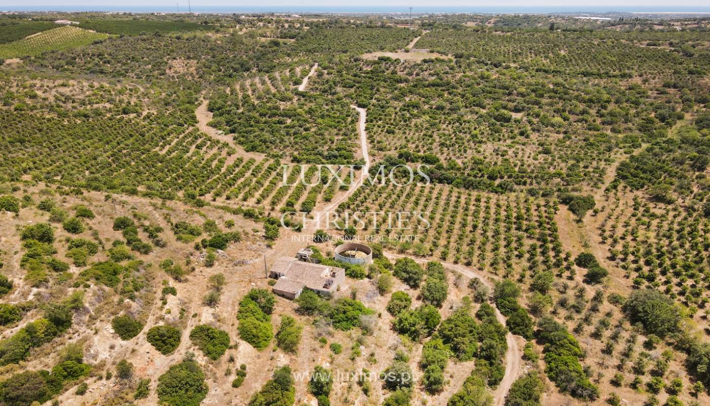 Farm with ruins and orchard, Tavira, Algarve_2560