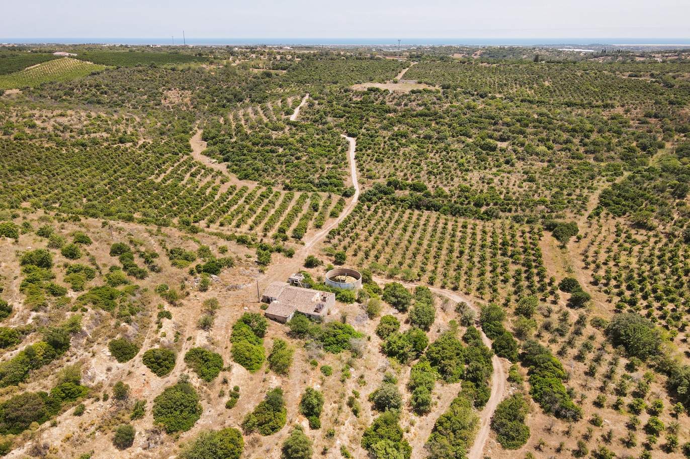 Bauernhof mit Ruinen und Obstgarten, Tavira, Algarve_172747