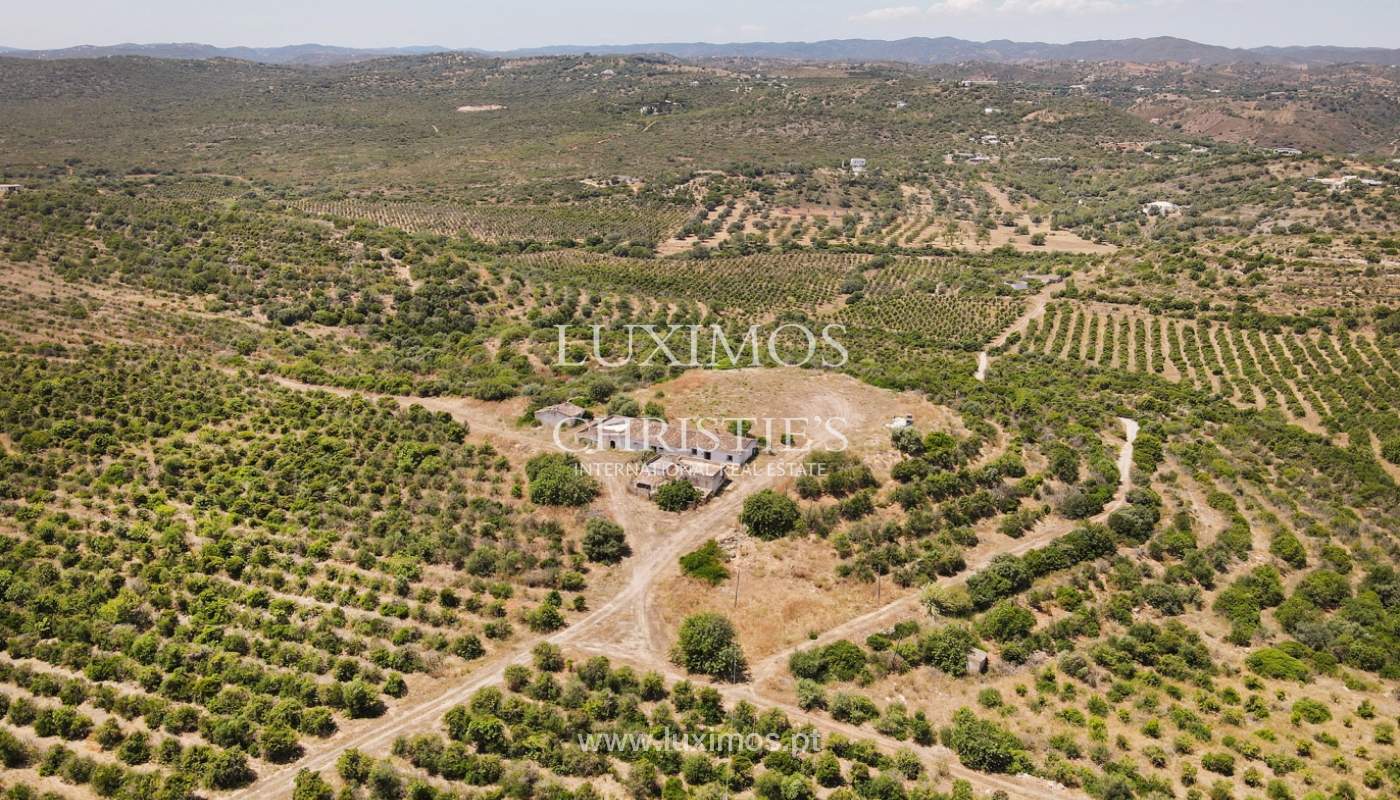 Farm with ruins and orchard, Tavira, Algarve_2416