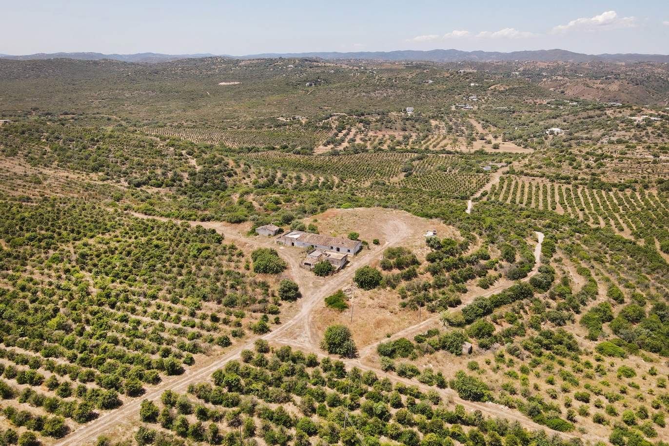 Farm with ruins and orchard, Tavira, Algarve_172748