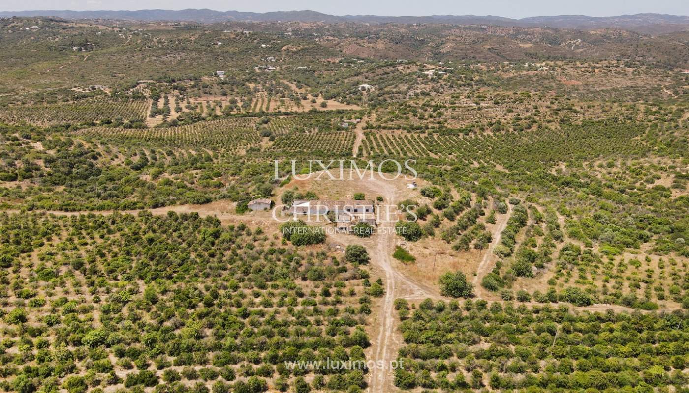 Farm with ruins and orchard, Tavira, Algarve_2415