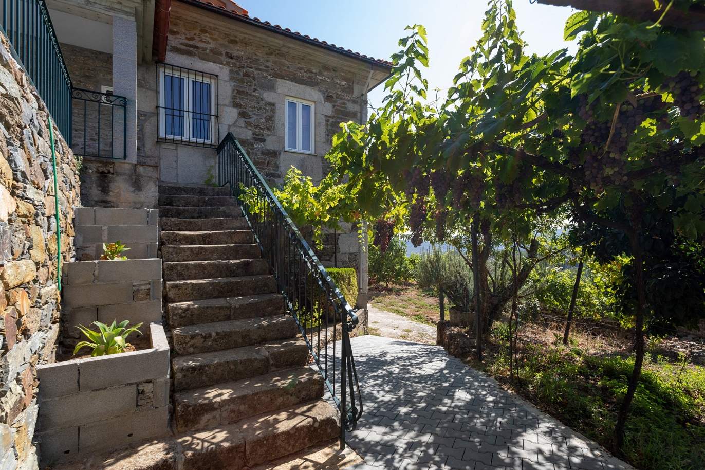 Selling: Vineyard with river views, Lamego, Douro Wine Region, Portugal_178050