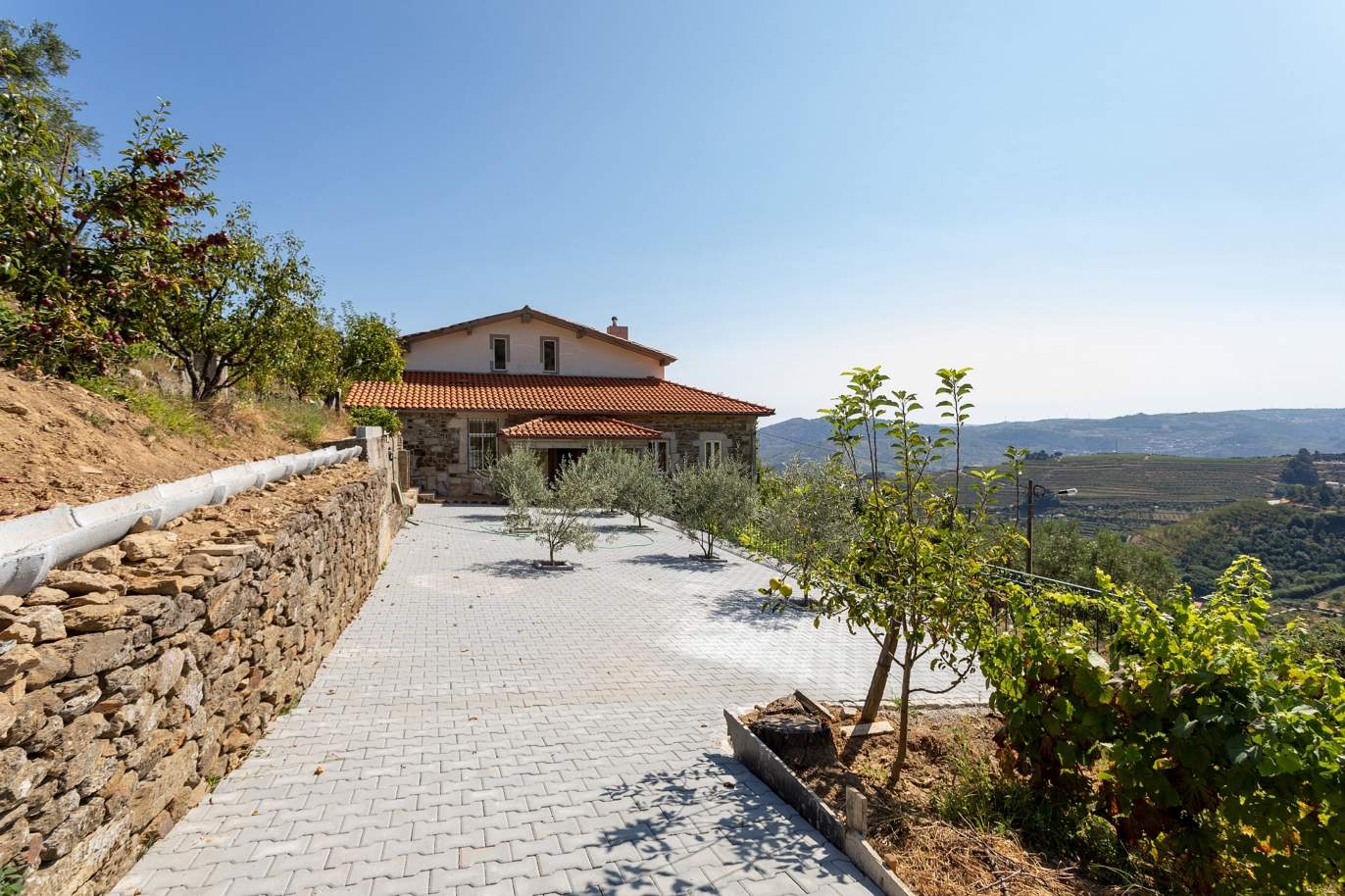 Selling: Vineyard with river views, Lamego, Douro Wine Region, Portugal_178051
