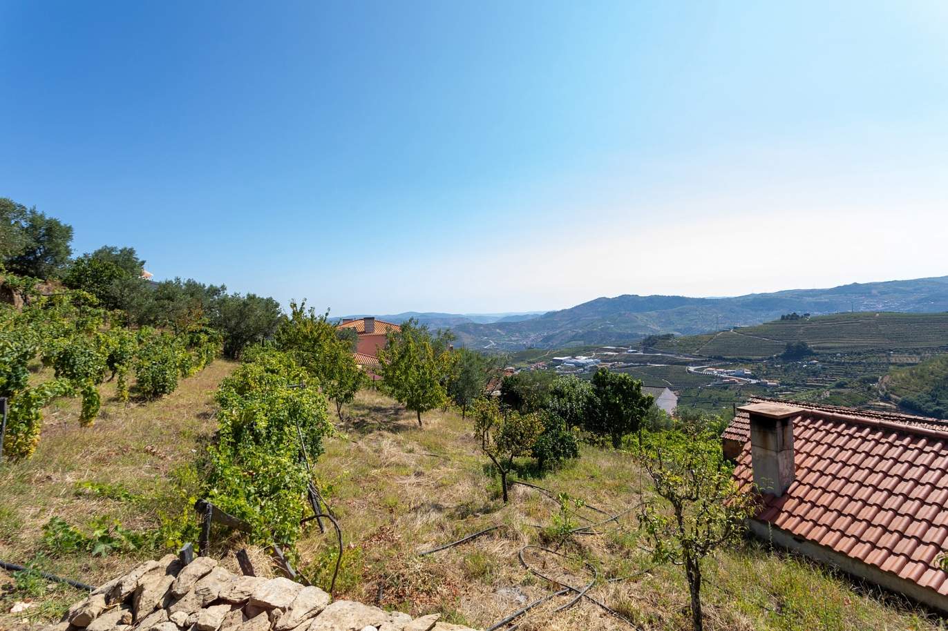 Selling: Vineyard with river views, Lamego, Douro Wine Region, Portugal_178064