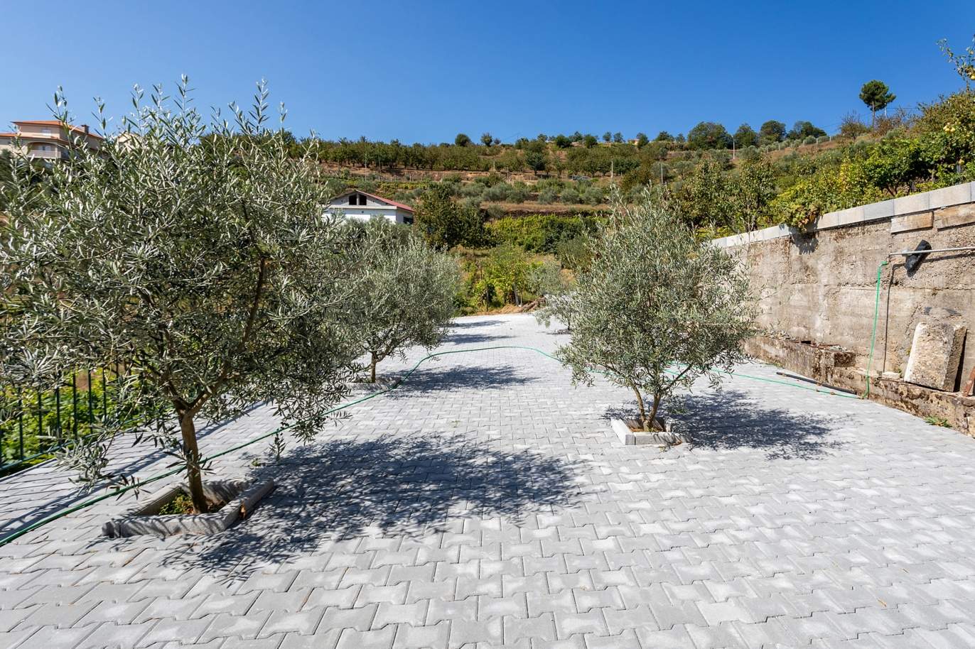 Selling: Vineyard with river views, Lamego, Douro Wine Region, Portugal_178065