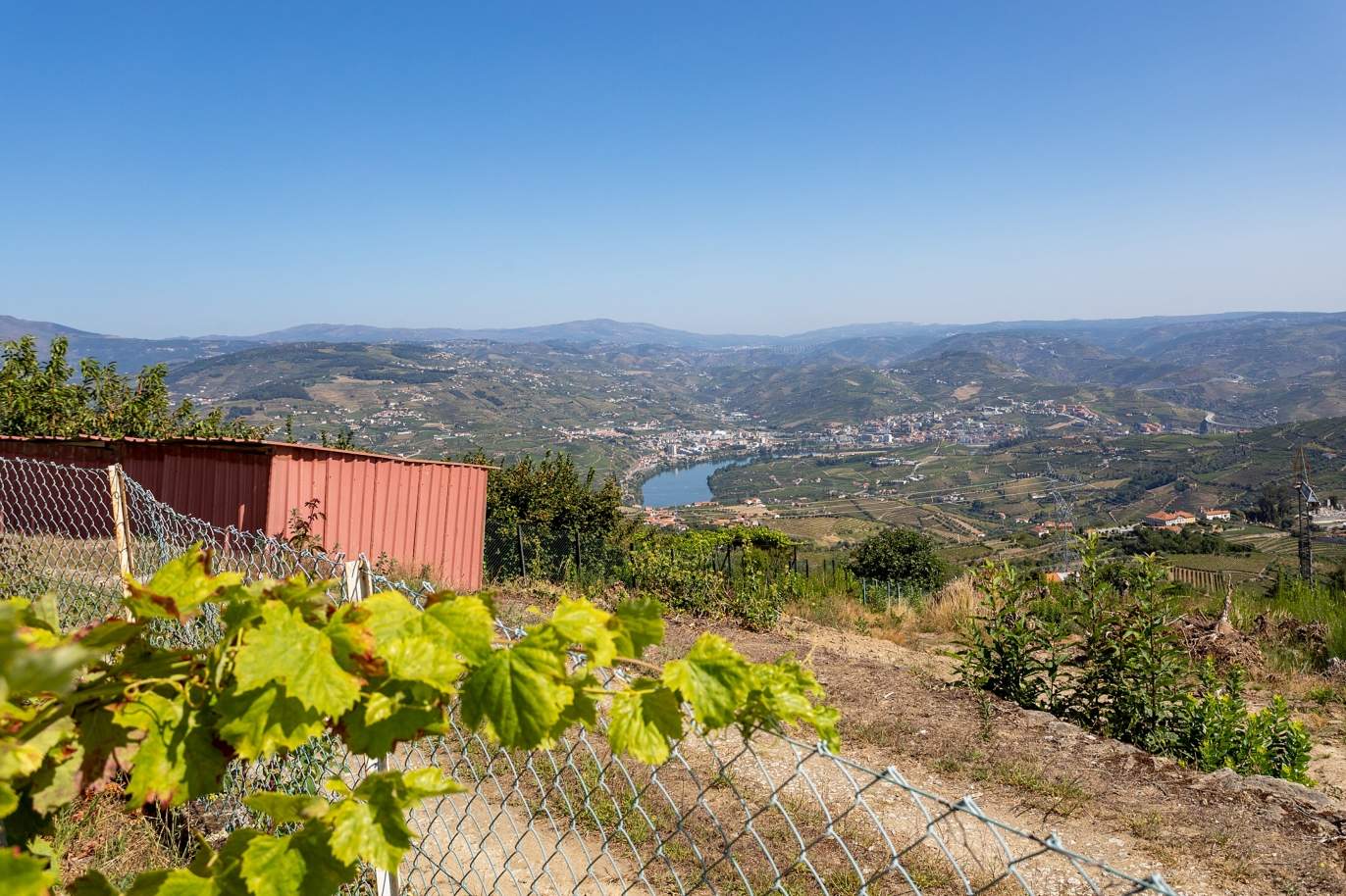 Venta: Finca vinícola con vistas al río, Lamego, Douro Vinhateiro, Portugal_178067