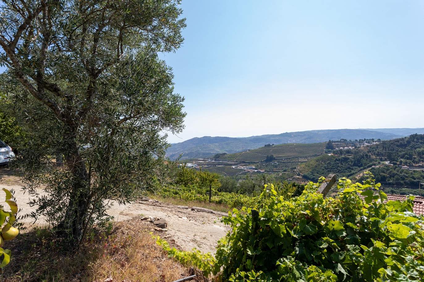 Selling: Vineyard with river views, Lamego, Douro Wine Region, Portugal_178068