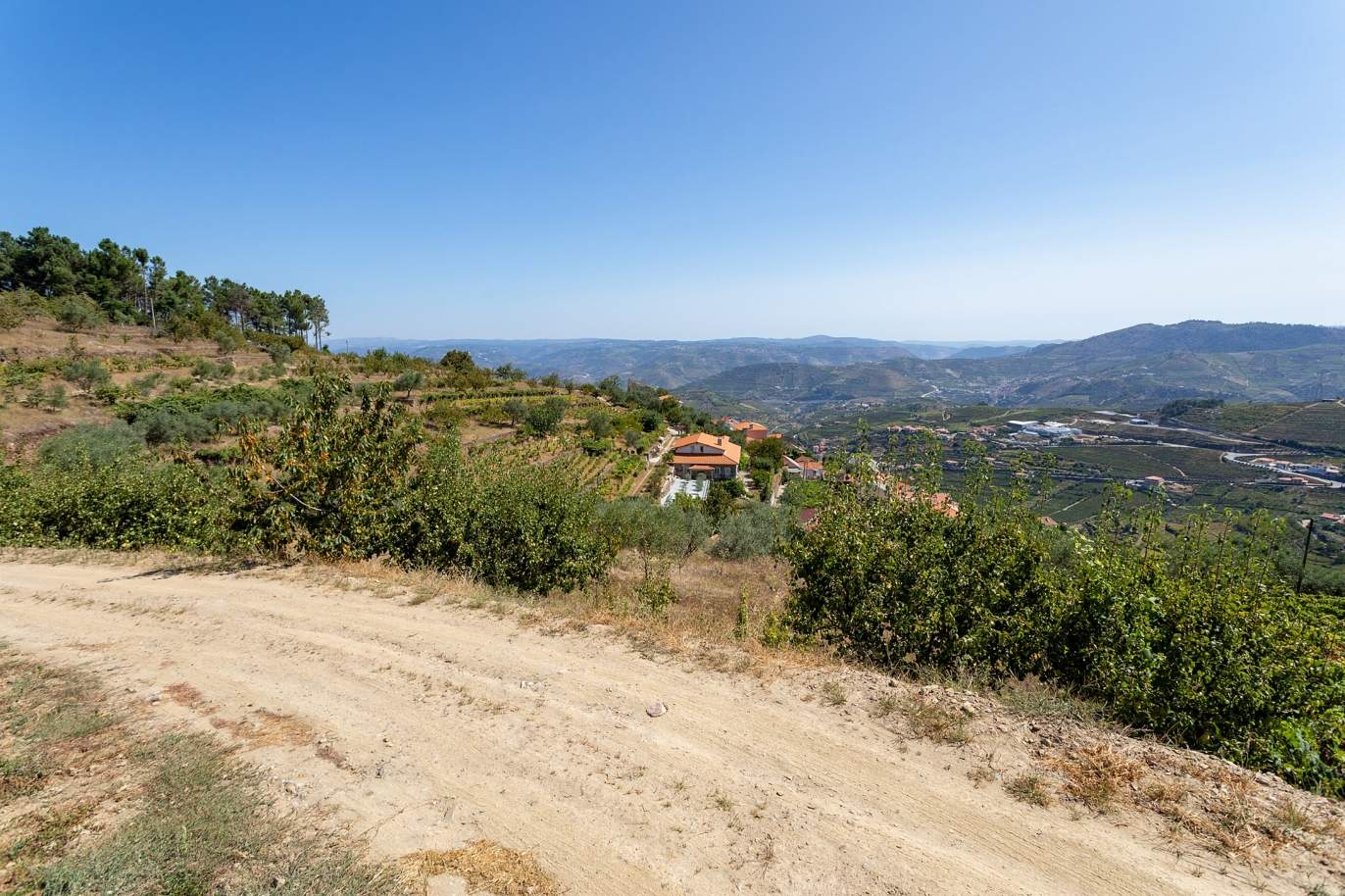 Selling: Vineyard with river views, Lamego, Douro Wine Region, Portugal_178071