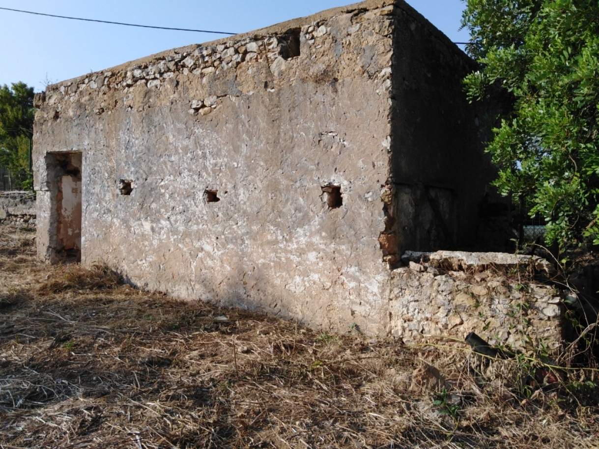 Bauernhof mit Obstgarten und Ruine, Luz de Tavira, Algarve_179681