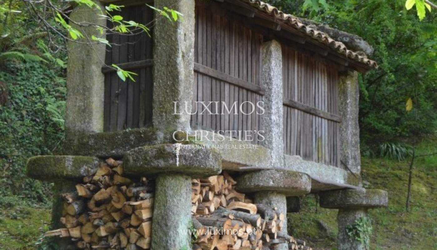 Villa for sale with river views, North of Portugal_18174