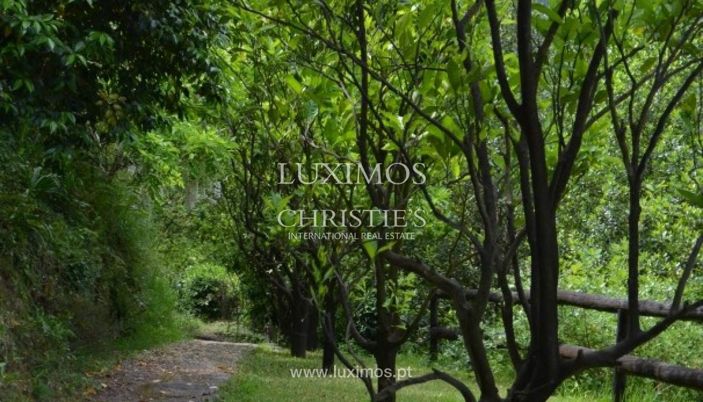 Villa for sale with river views, North of Portugal_18175