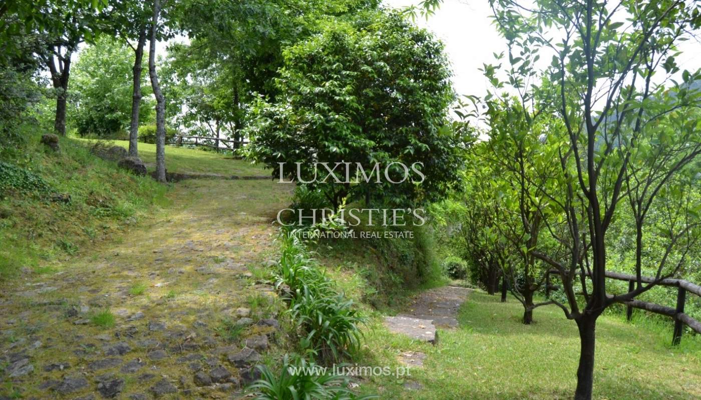 Villa for sale with river views, North of Portugal_18177