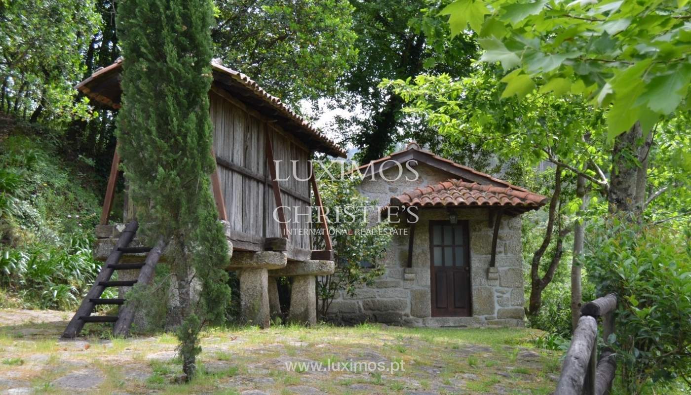 Villa for sale with river views, North of Portugal_18188