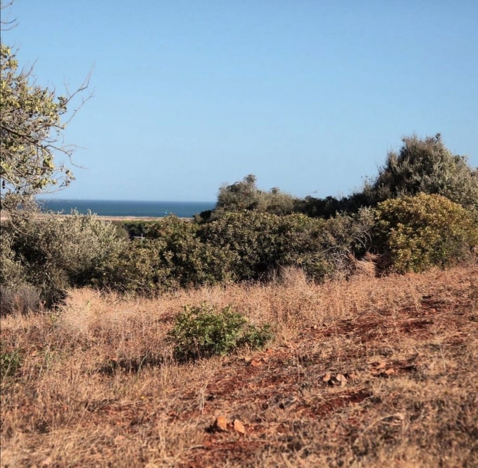 Plot of land for construction, with partial sea view, Lagos, Algarve_181905