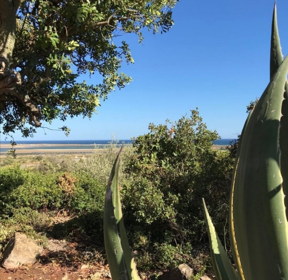 Plot of land for construction, with partial sea view, Lagos, Algarve_181907
