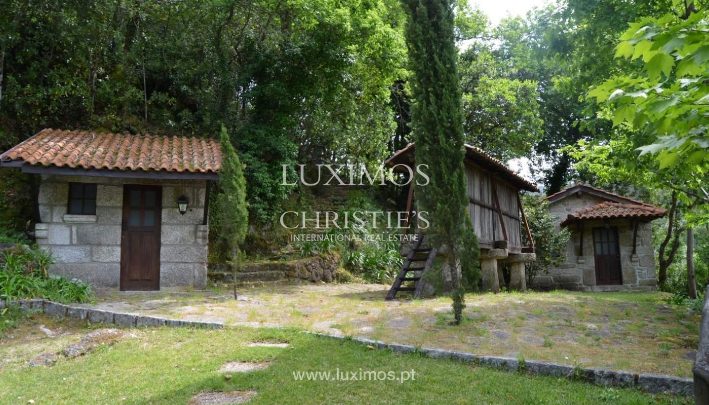 Villa for sale with river views, North of Portugal_18191