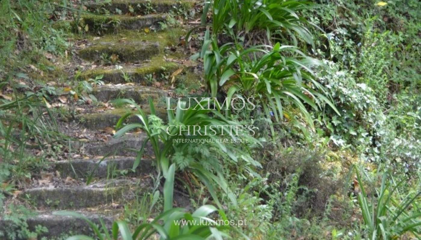 Villa for sale with river views, North of Portugal_18193