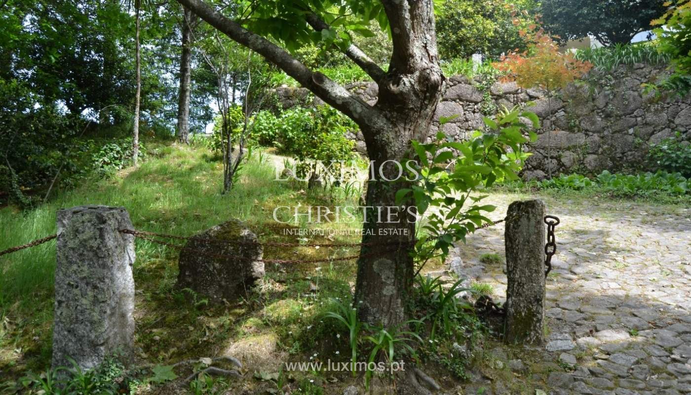 Villa for sale with river views, North of Portugal_18223