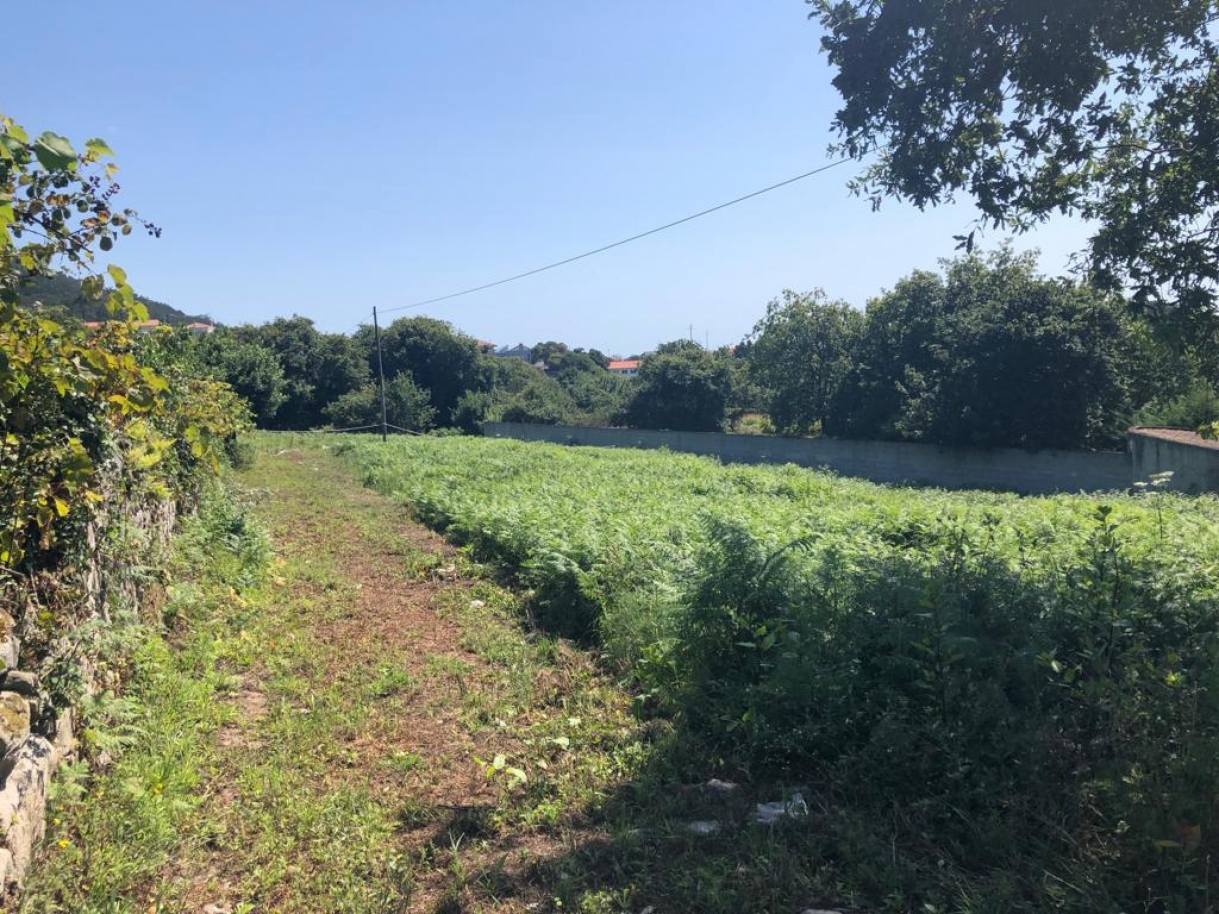 Land with sea views, for sale, in Carreço, Viana do Castelo, North of Portugal_184369