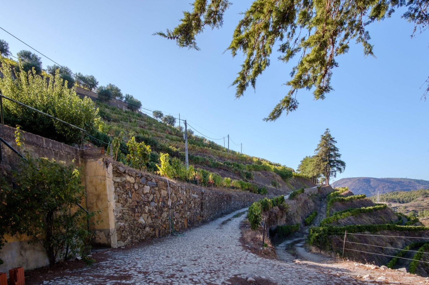 Domaine viticole, à vendre, Vallée du Douro, Portugal_184714