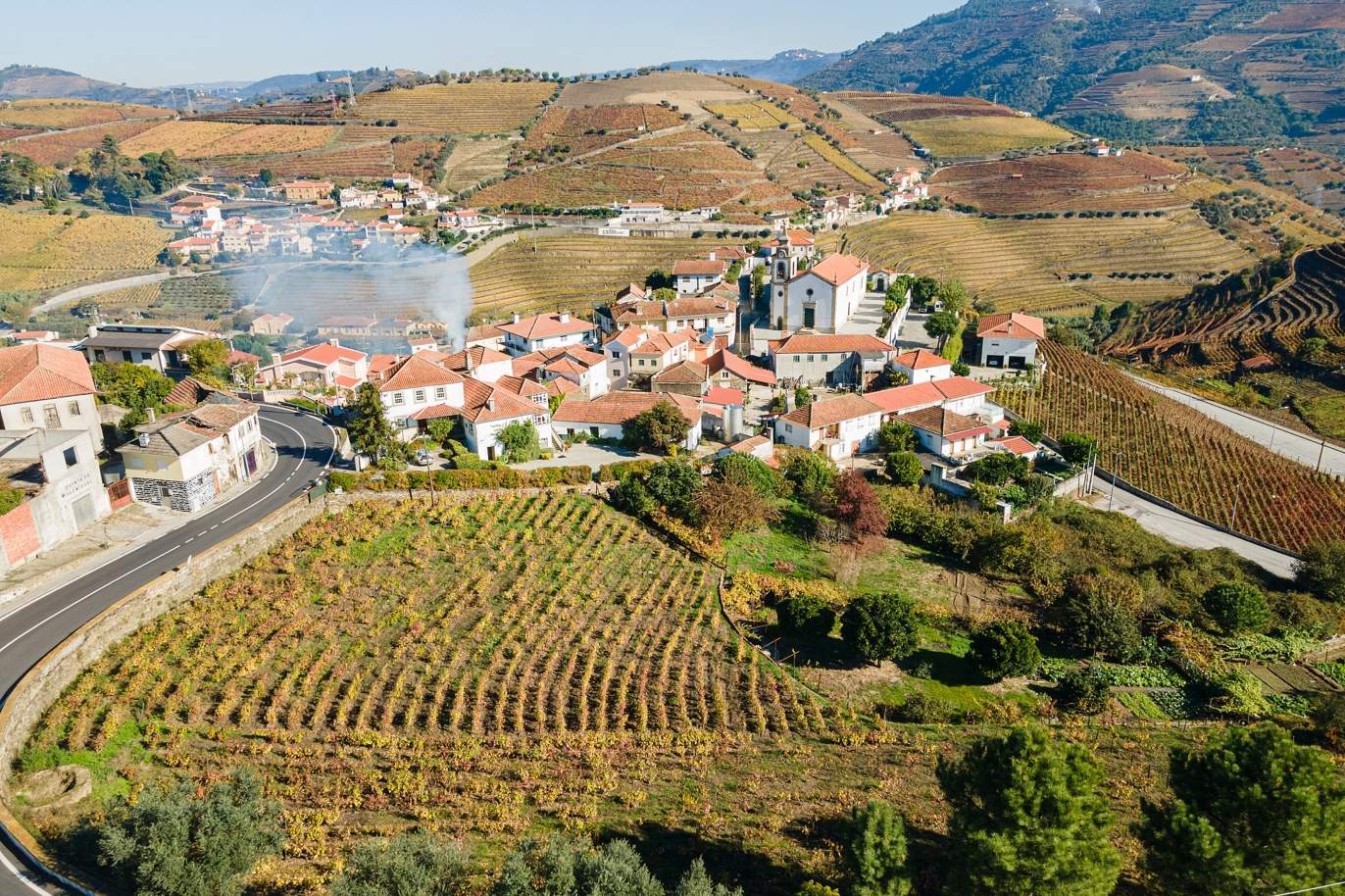Vente : Vignoble à Alto Douro Vinhateiro, St.ª M. Penaguião, Nord du Portugal_184962