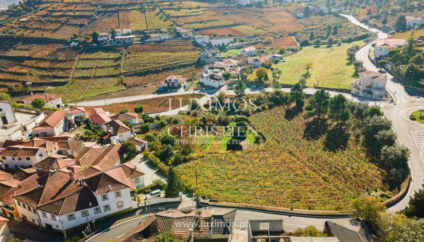 Selling: Country House in the heart of the Douro Valley, St.ª M. Penaguião, North Portugal_184965