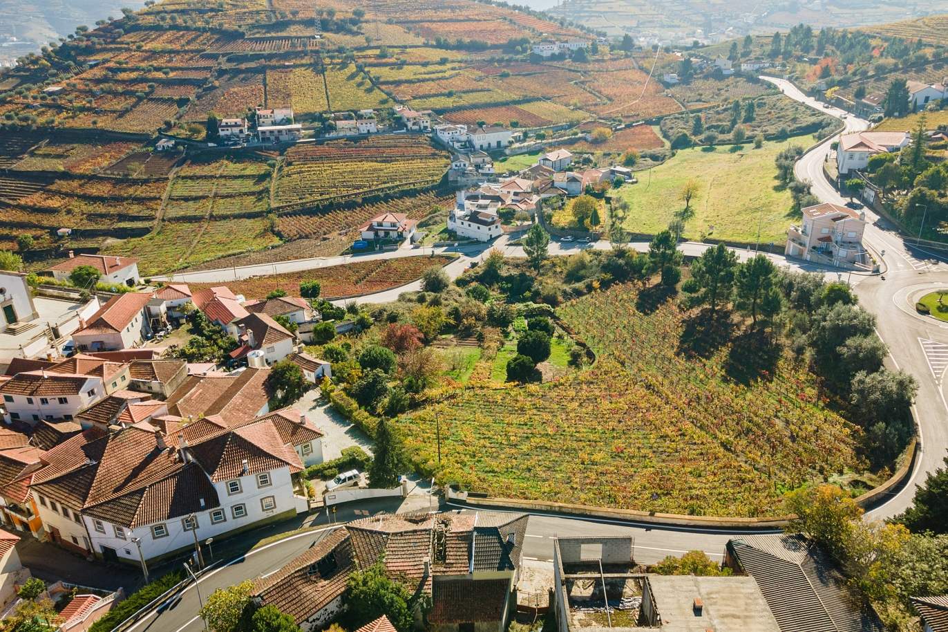 Vente : Vignoble à Alto Douro Vinhateiro, St.ª M. Penaguião, Nord du Portugal_184965