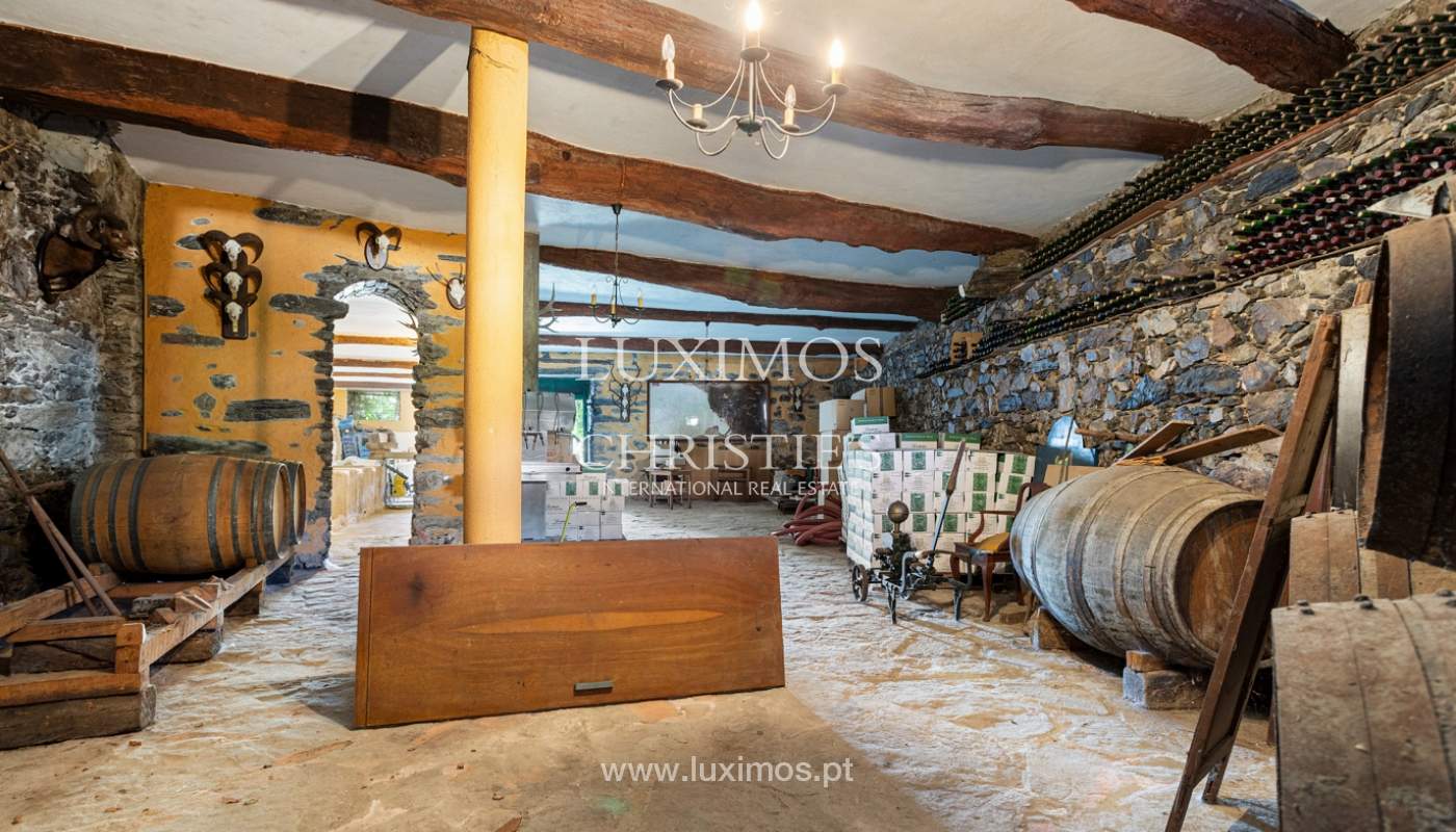Selling: Country House in the heart of the Douro Valley, St.ª M. Penaguião, North Portugal_184986