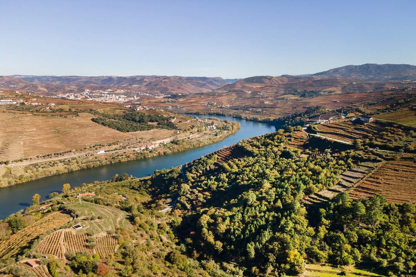 Venta de propiedad, en Región vinícola del Alto Douro, en Samodães, Lamego, Portugal_185457
