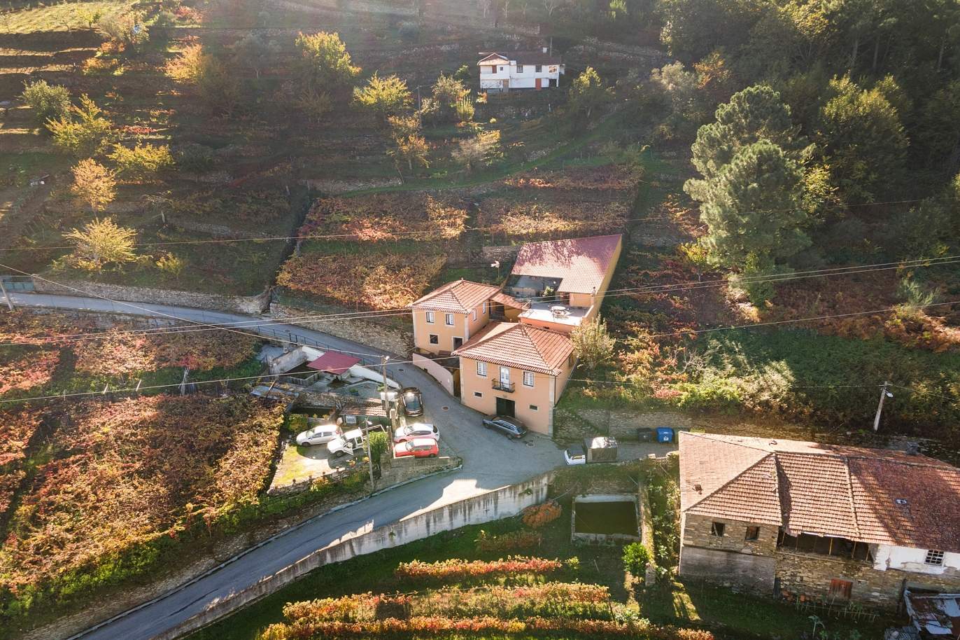 Venta de propiedad, en Región vinícola del Alto Douro, en Samodães, Lamego, Portugal_185483