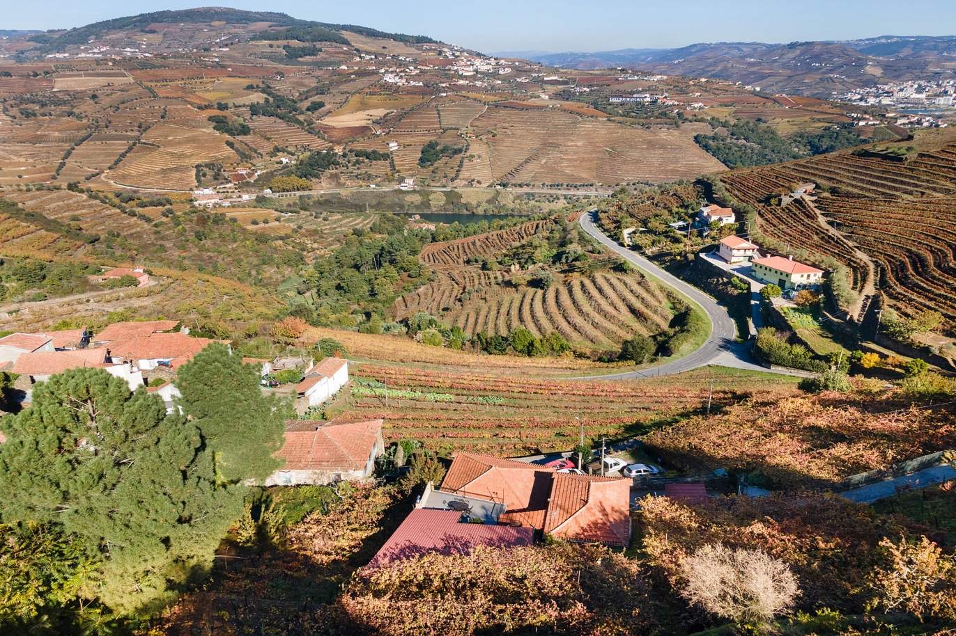 Venta de propiedad, en Región vinícola del Alto Douro, en Samodães, Lamego, Portugal_185486