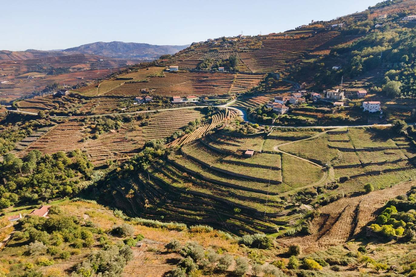 Venta de propiedad, en Región vinícola del Alto Douro, en Samodães, Lamego, Portugal_185487