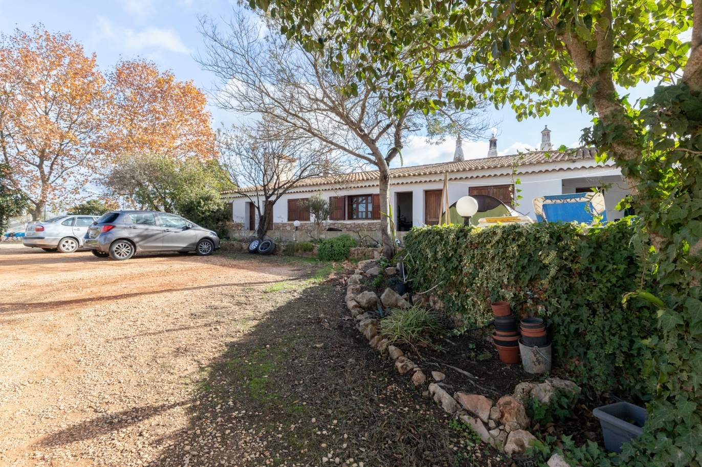 Casa de campo T10 com amplo pomar, para venda, Lagos, Algarve_188118
