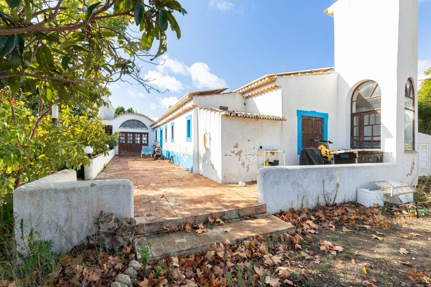 Maison de campagne T10 avec grand verger, à vendre, Lagos, Algarve_188134