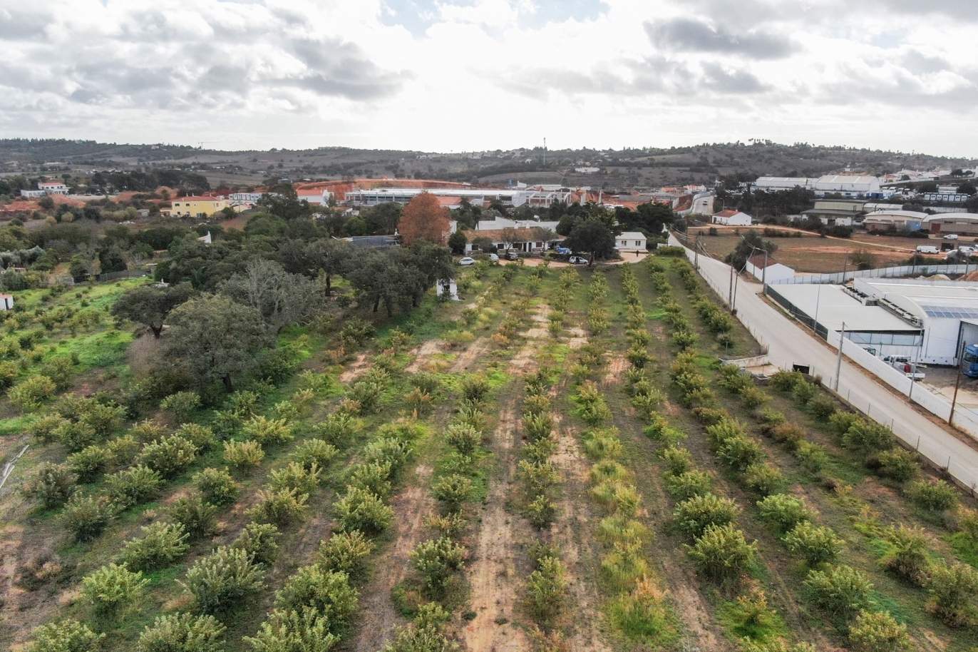 Country house T10 with large orchard, for sale, Lagos, Algarve_188149