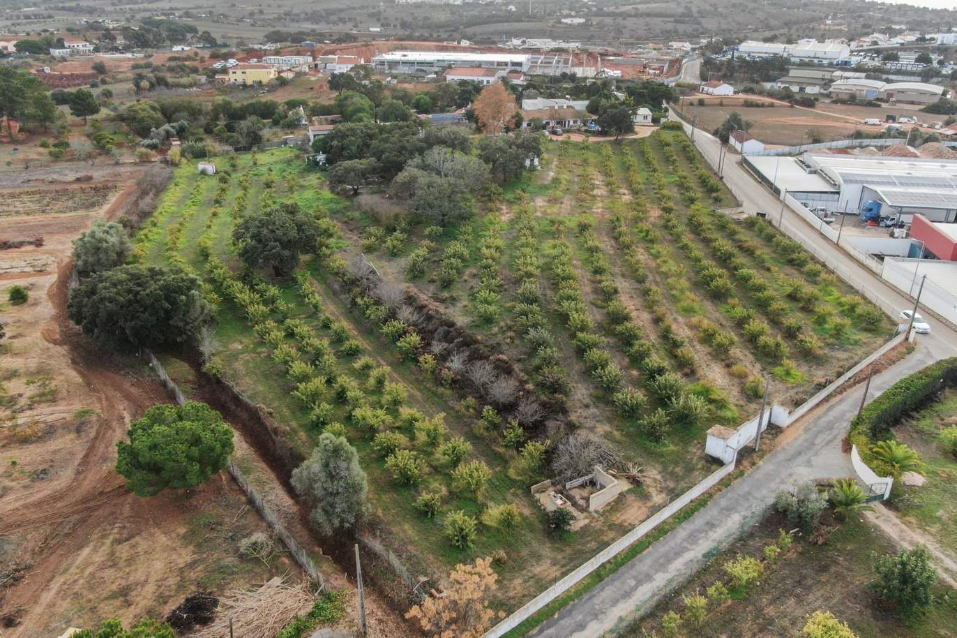 Landhaus T10 mit großem Obstgarten, zu verkaufen, Lagos, Algarve_188150