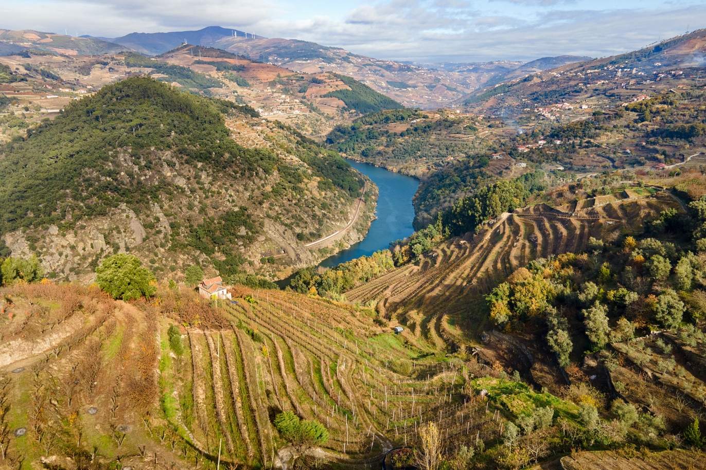 Vignoble à vendre dans le Valée du Douro, à Penajoia, Lamego, dans le nord du Portugal_188288