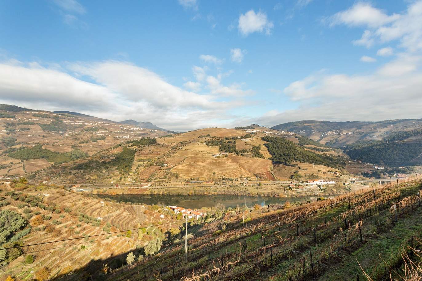 Viñedo en venta en la región vinícola del Alto Douro, en Penajoia, Lamego, Norte de Portugal_188301